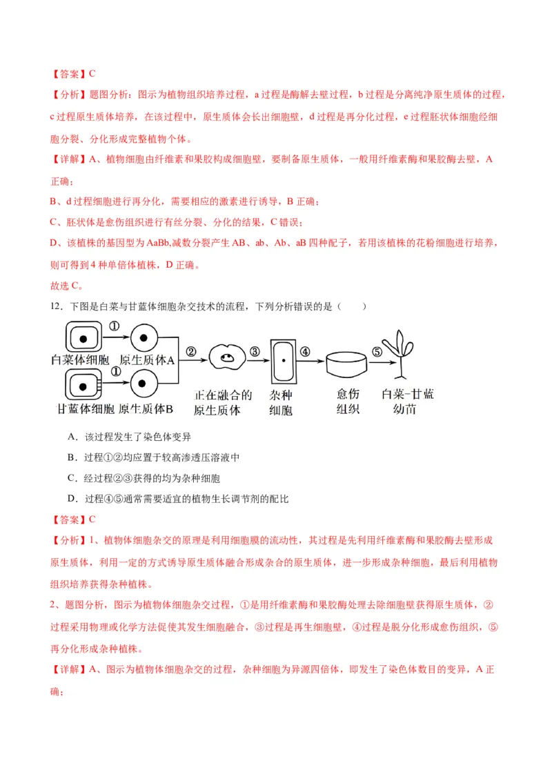 专题40植物细胞工程（解析版）_2024年新高考资料_3.2024专项复习_备战2024年高考生物一轮复习重难点专项突破_专题40植物细胞工程-备战2024年高考生物一轮复习重难点专项突破
