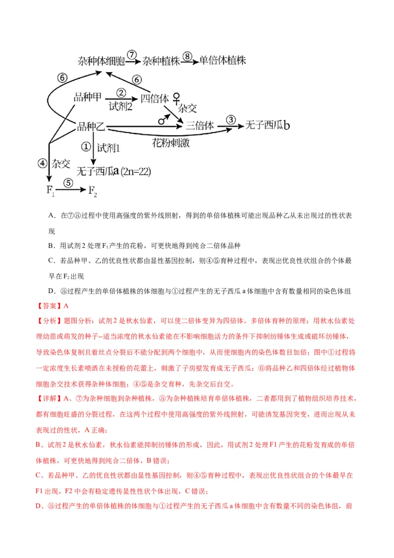 专题40植物细胞工程（解析版）_2024年新高考资料_3.2024专项复习_备战2024年高考生物一轮复习重难点专项突破_专题40植物细胞工程-备战2024年高考生物一轮复习重难点专项突破