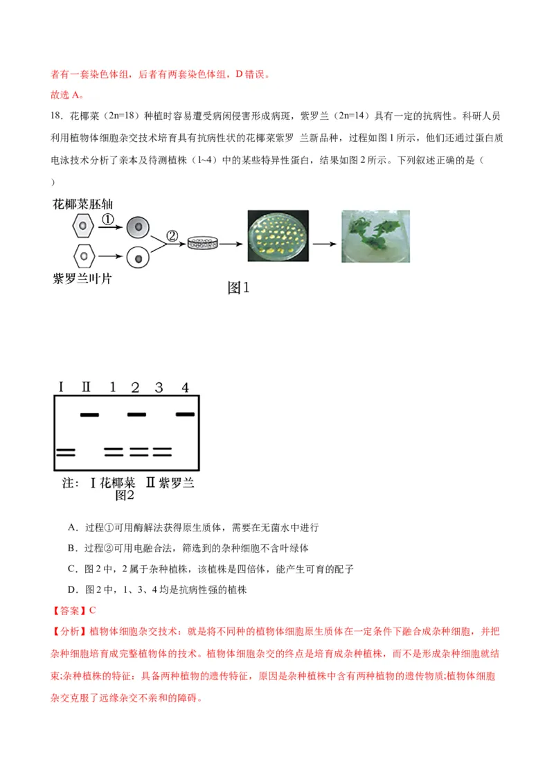 专题40植物细胞工程（解析版）_2024年新高考资料_3.2024专项复习_备战2024年高考生物一轮复习重难点专项突破_专题40植物细胞工程-备战2024年高考生物一轮复习重难点专项突破