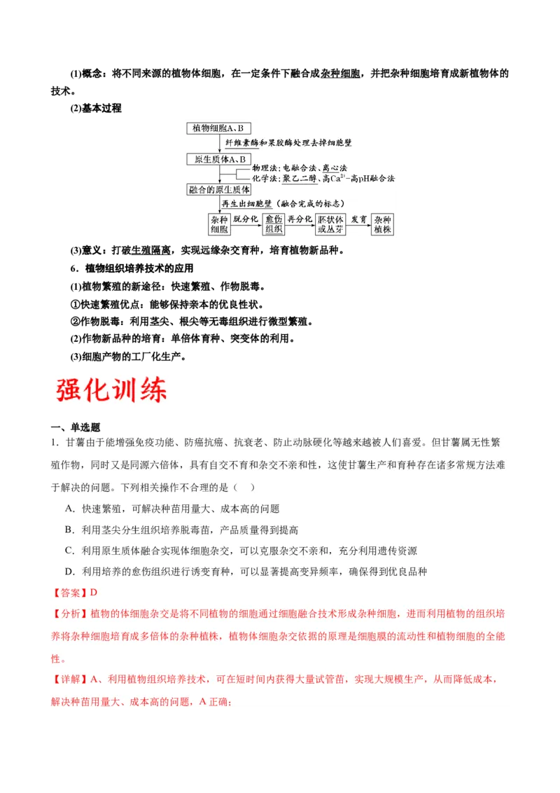 专题40植物细胞工程（解析版）_2024年新高考资料_3.2024专项复习_备战2024年高考生物一轮复习重难点专项突破_专题40植物细胞工程-备战2024年高考生物一轮复习重难点专项突破