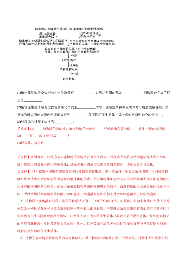 专题40植物细胞工程（解析版）_2024年新高考资料_3.2024专项复习_备战2024年高考生物一轮复习重难点专项突破_专题40植物细胞工程-备战2024年高考生物一轮复习重难点专项突破