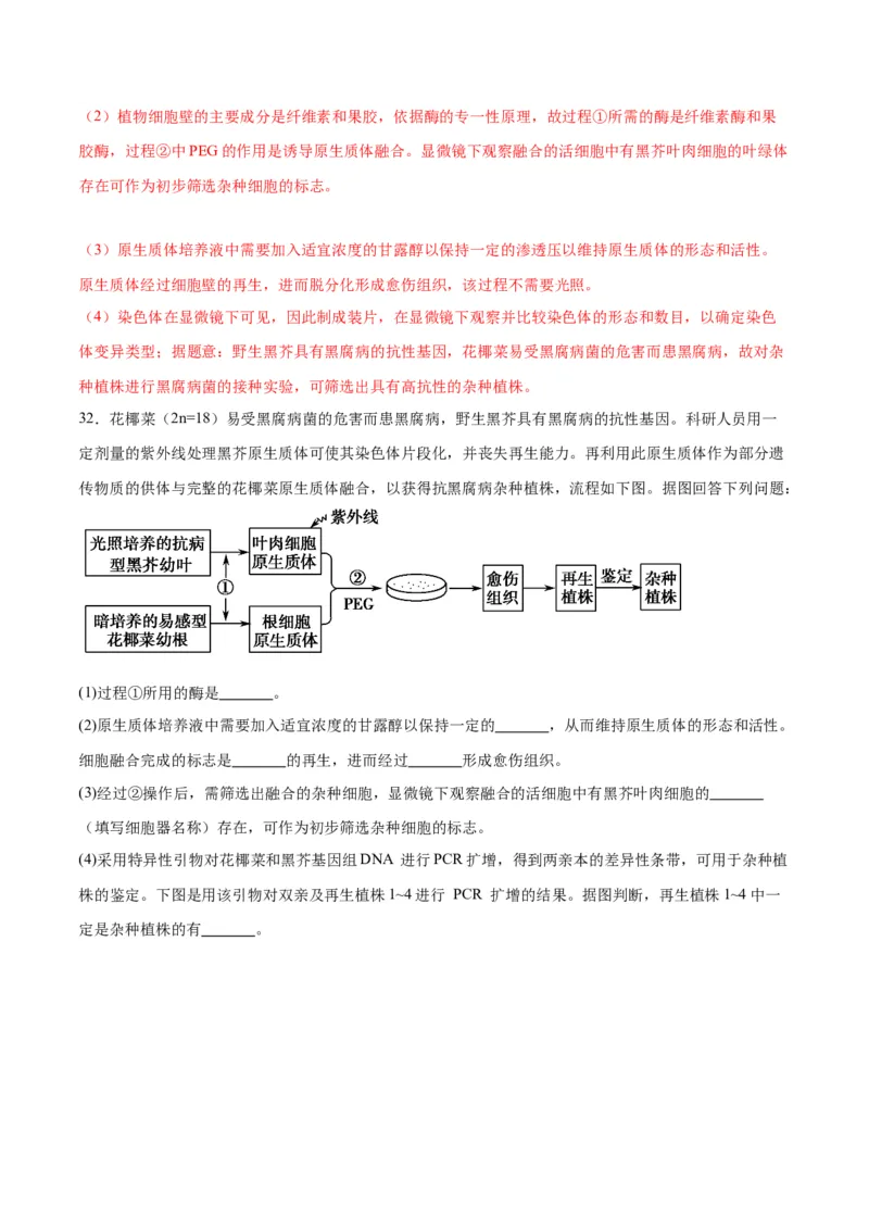 专题40植物细胞工程（解析版）_2024年新高考资料_3.2024专项复习_备战2024年高考生物一轮复习重难点专项突破_专题40植物细胞工程-备战2024年高考生物一轮复习重难点专项突破