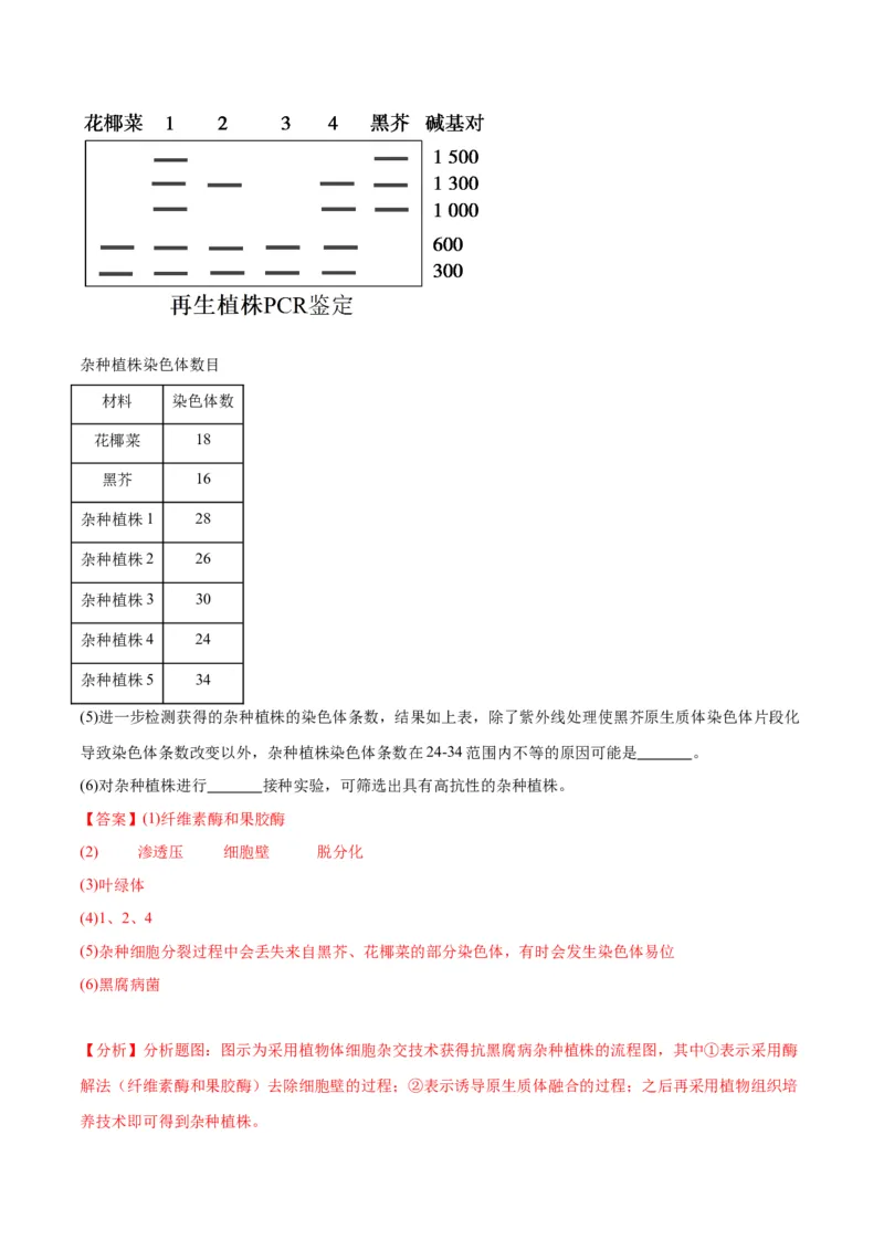 专题40植物细胞工程（解析版）_2024年新高考资料_3.2024专项复习_备战2024年高考生物一轮复习重难点专项突破_专题40植物细胞工程-备战2024年高考生物一轮复习重难点专项突破
