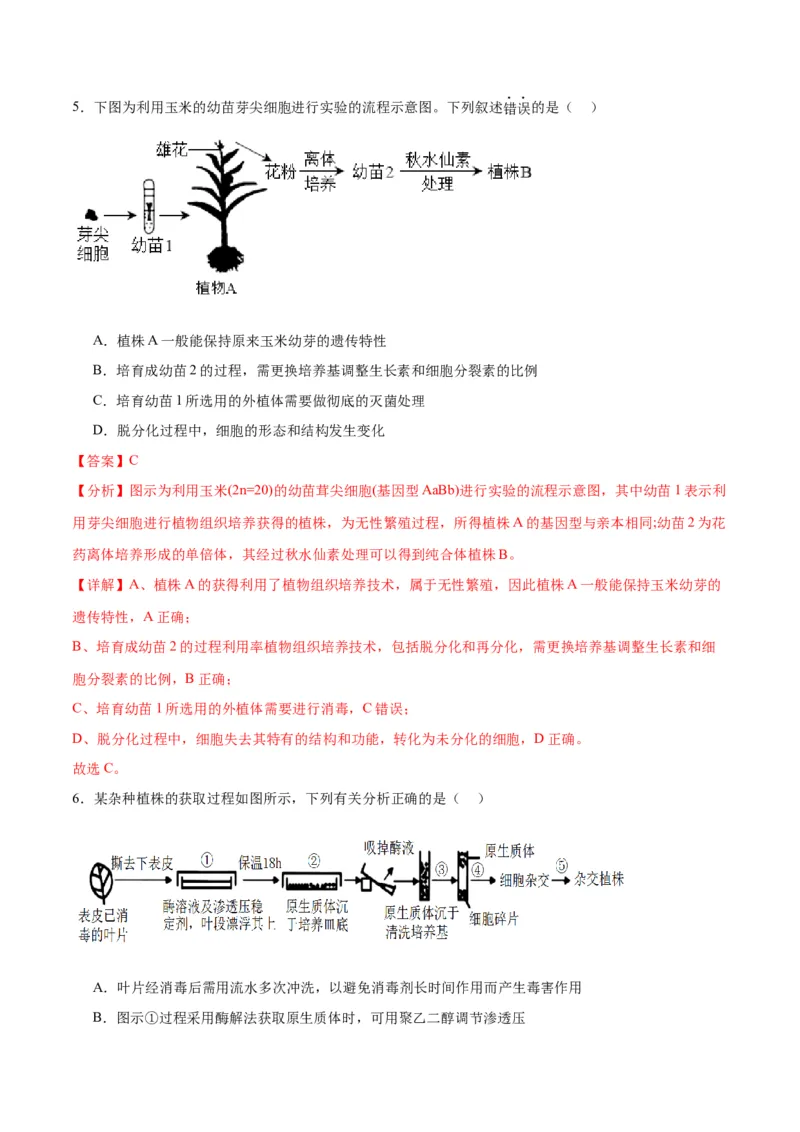 专题40植物细胞工程（解析版）_2024年新高考资料_3.2024专项复习_备战2024年高考生物一轮复习重难点专项突破_专题40植物细胞工程-备战2024年高考生物一轮复习重难点专项突破