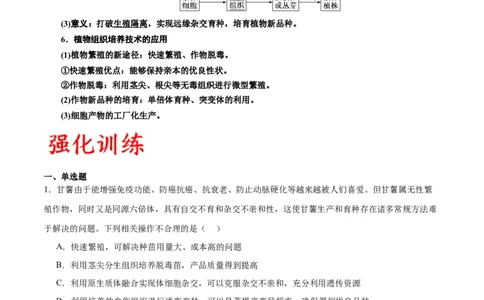 专题40植物细胞工程（解析版）_2024年新高考资料_3.2024专项复习_备战2024年高考生物一轮复习重难点专项突破_专题40植物细胞工程-备战2024年高考生物一轮复习重难点专项突破