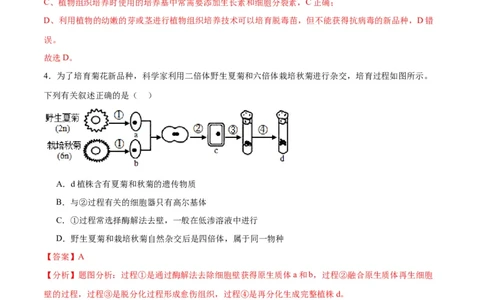专题40植物细胞工程（解析版）_2024年新高考资料_3.2024专项复习_备战2024年高考生物一轮复习重难点专项突破_专题40植物细胞工程-备战2024年高考生物一轮复习重难点专项突破