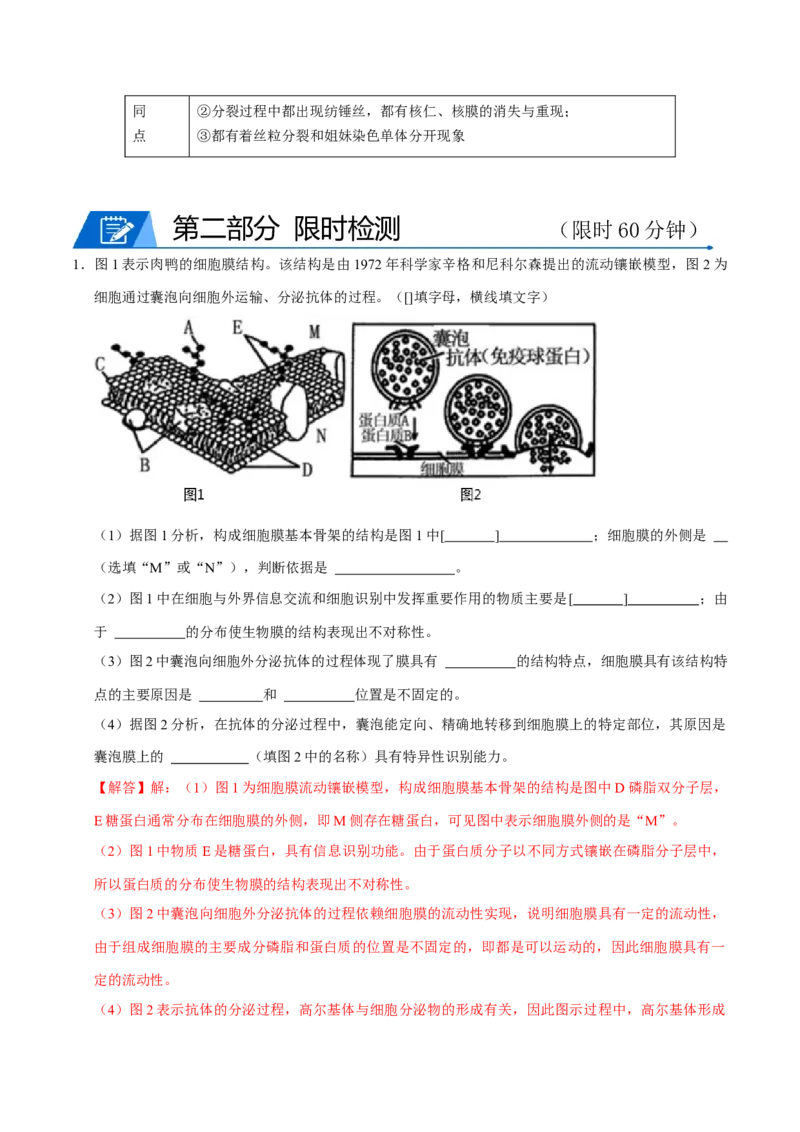 专题01细胞的结构及细胞分裂（解析版）_2024年新高考资料_3.2024专项复习_2024年高考生物热点&middot;重点&middot;难点专练（上海专用）