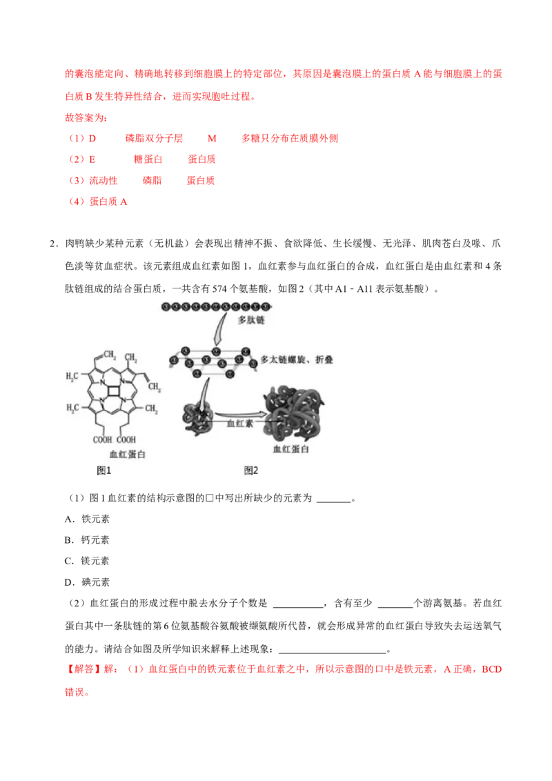 专题01细胞的结构及细胞分裂（解析版）_2024年新高考资料_3.2024专项复习_2024年高考生物热点&middot;重点&middot;难点专练（上海专用）