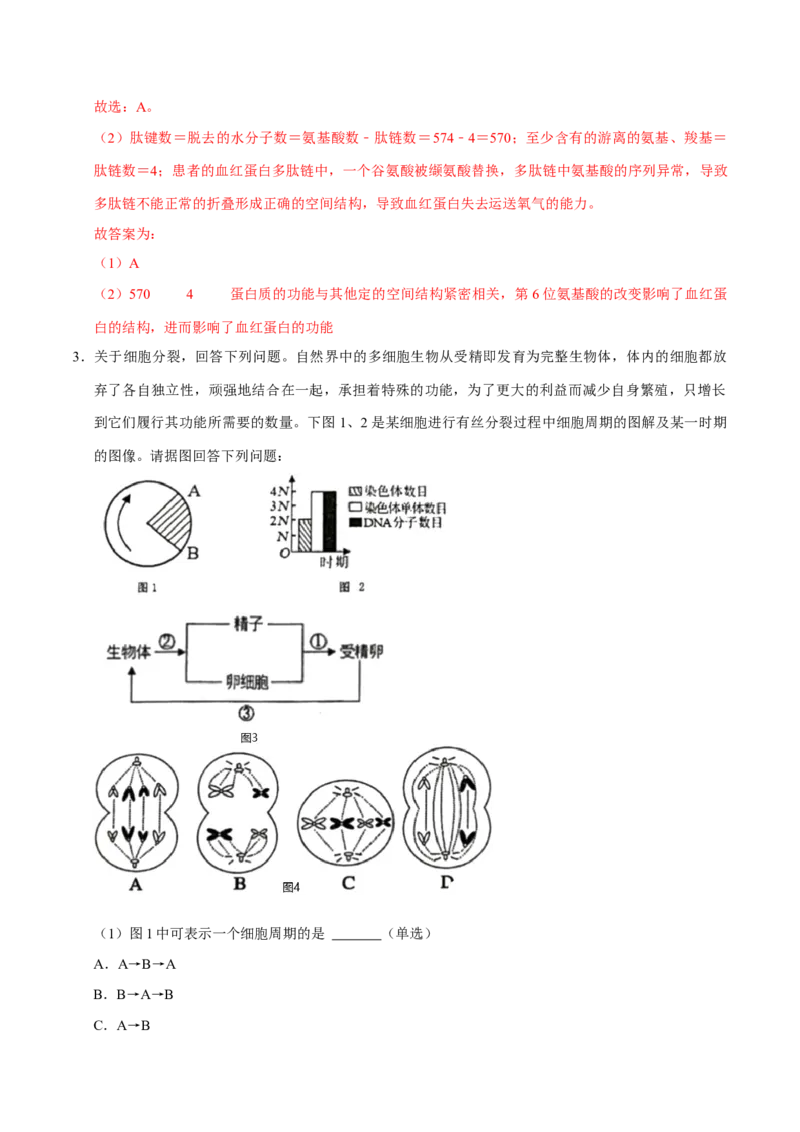 专题01细胞的结构及细胞分裂（解析版）_2024年新高考资料_3.2024专项复习_2024年高考生物热点&middot;重点&middot;难点专练（上海专用）