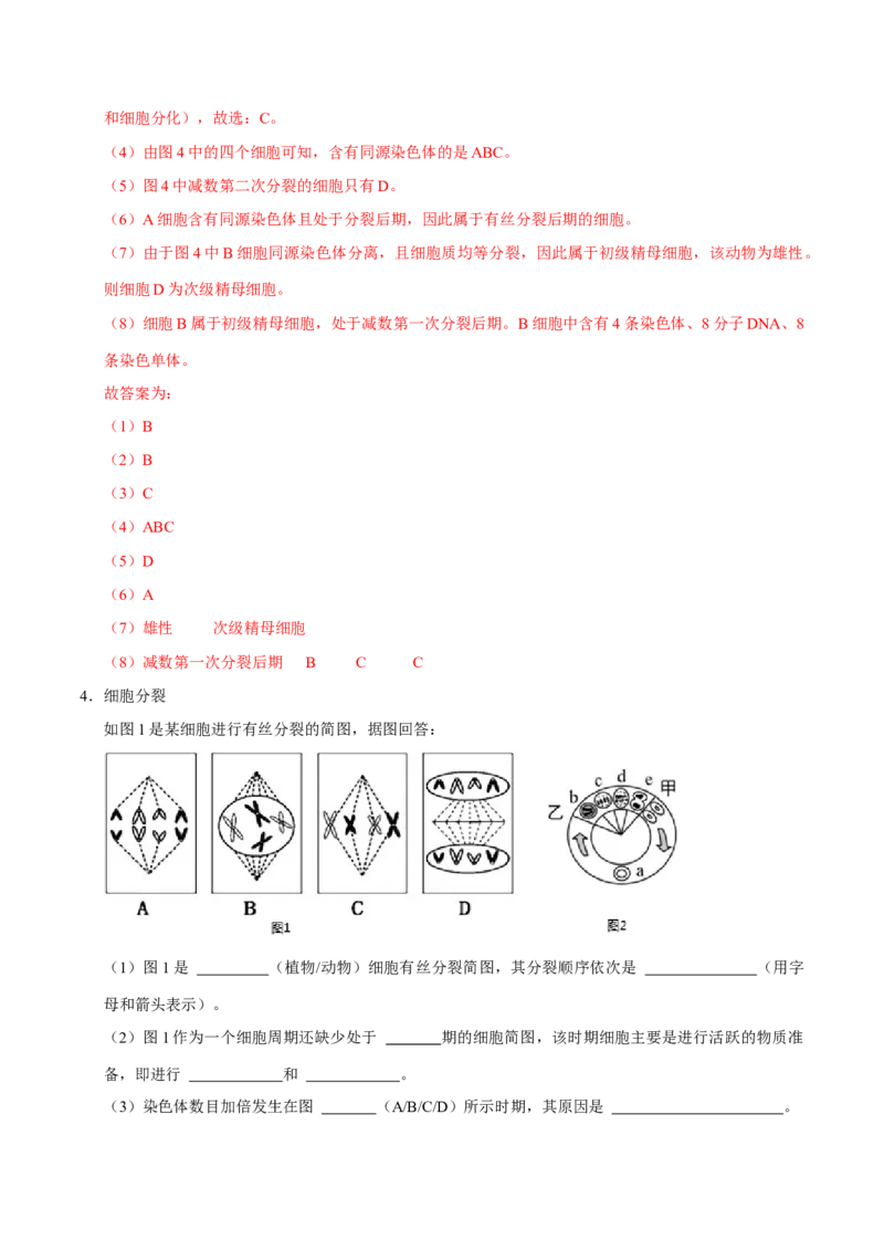 专题01细胞的结构及细胞分裂（解析版）_2024年新高考资料_3.2024专项复习_2024年高考生物热点&middot;重点&middot;难点专练（上海专用）