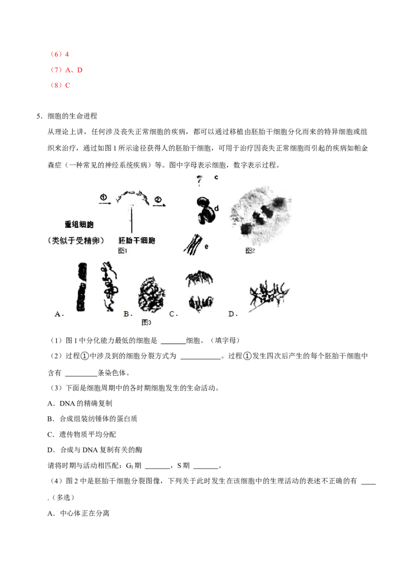 专题01细胞的结构及细胞分裂（解析版）_2024年新高考资料_3.2024专项复习_2024年高考生物热点&middot;重点&middot;难点专练（上海专用）