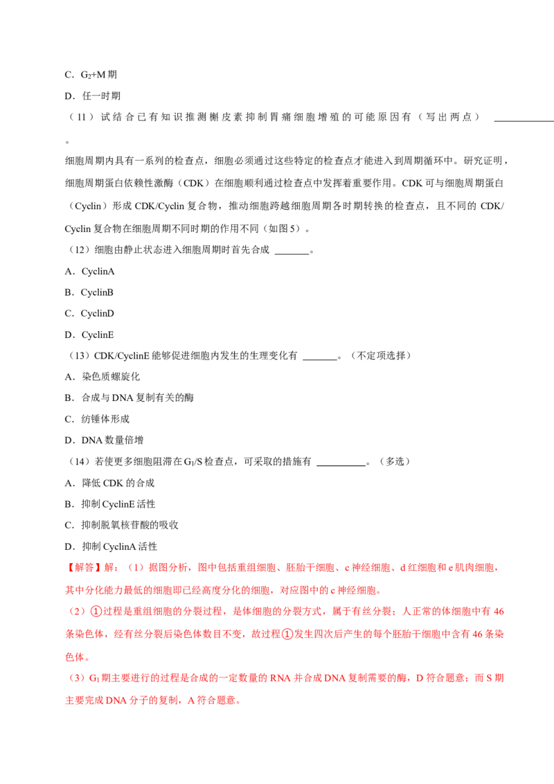 专题01细胞的结构及细胞分裂（解析版）_2024年新高考资料_3.2024专项复习_2024年高考生物热点&middot;重点&middot;难点专练（上海专用）