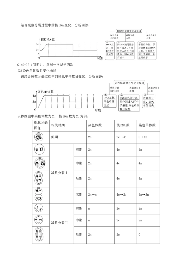 专题01细胞的结构及细胞分裂（解析版）_2024年新高考资料_3.2024专项复习_2024年高考生物热点&middot;重点&middot;难点专练（上海专用）