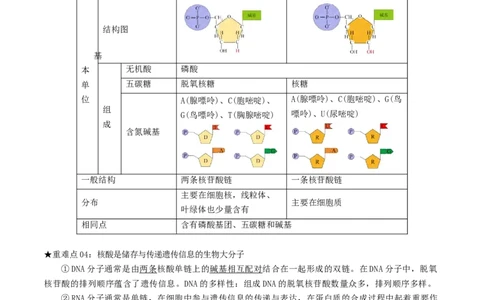专题01细胞的结构及细胞分裂（解析版）_2024年新高考资料_3.2024专项复习_2024年高考生物热点&middot;重点&middot;难点专练（上海专用）