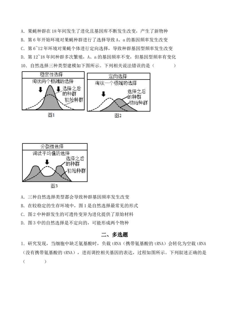 专题08基因的表达以及基因频率的计算（原卷版）_2024年新高考资料_3.2024专项复习_备战2024年高考生物一轮复习重难点突破讲解与训练（新教材）