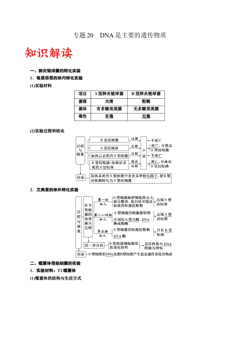 专题20DNA是主要的遗传物质（原卷版)_2024年新高考资料_3.2024专项复习_备战2024年高考生物一轮复习重难点专项突破_专题20DNA是主要的遗传物质