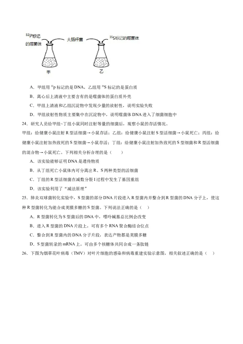 专题20DNA是主要的遗传物质（原卷版)_2024年新高考资料_3.2024专项复习_备战2024年高考生物一轮复习重难点专项突破_专题20DNA是主要的遗传物质