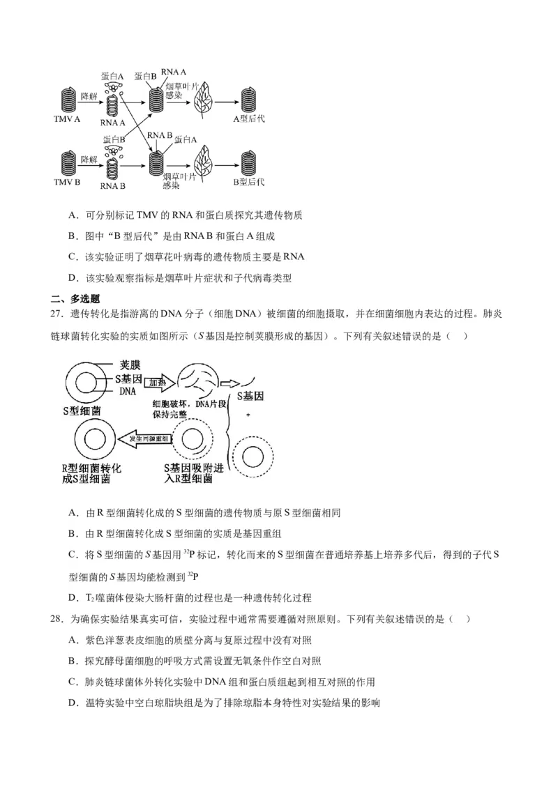 专题20DNA是主要的遗传物质（原卷版)_2024年新高考资料_3.2024专项复习_备战2024年高考生物一轮复习重难点专项突破_专题20DNA是主要的遗传物质