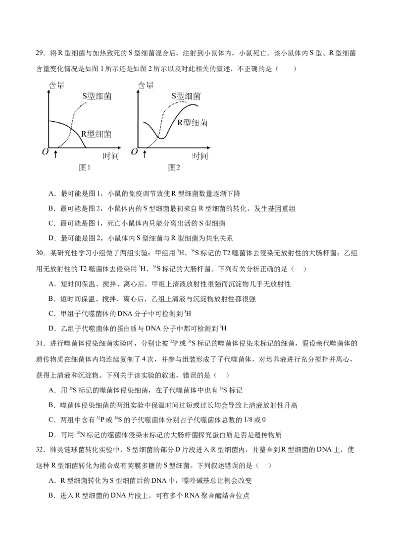 专题20DNA是主要的遗传物质（原卷版)_2024年新高考资料_3.2024专项复习_备战2024年高考生物一轮复习重难点专项突破_专题20DNA是主要的遗传物质