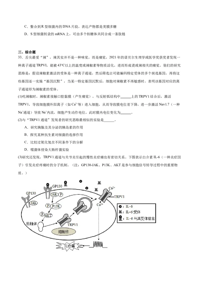专题20DNA是主要的遗传物质（原卷版)_2024年新高考资料_3.2024专项复习_备战2024年高考生物一轮复习重难点专项突破_专题20DNA是主要的遗传物质