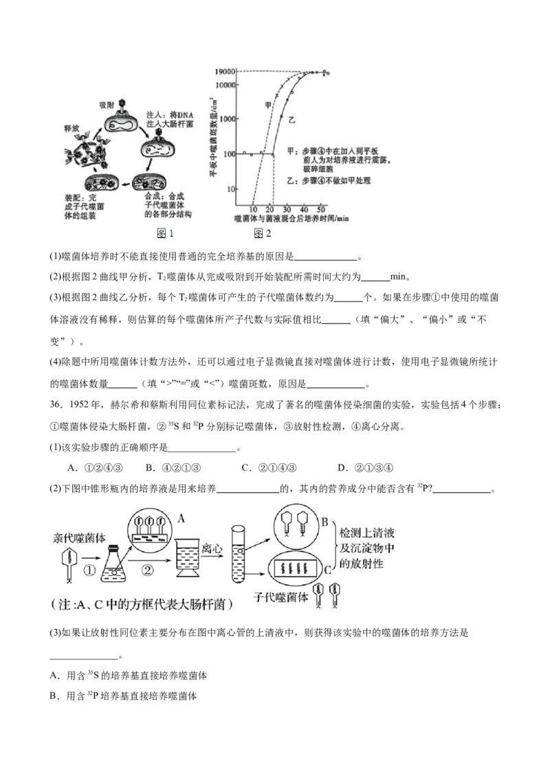专题20DNA是主要的遗传物质（原卷版)_2024年新高考资料_3.2024专项复习_备战2024年高考生物一轮复习重难点专项突破_专题20DNA是主要的遗传物质