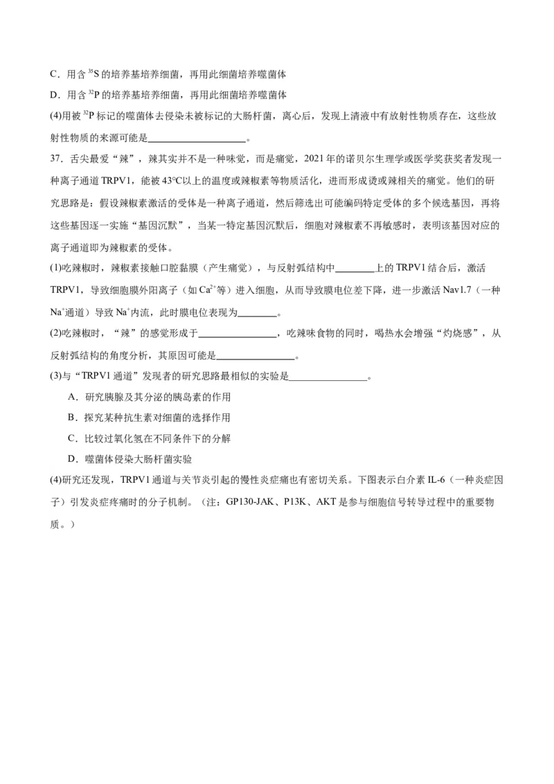 专题20DNA是主要的遗传物质（原卷版)_2024年新高考资料_3.2024专项复习_备战2024年高考生物一轮复习重难点专项突破_专题20DNA是主要的遗传物质