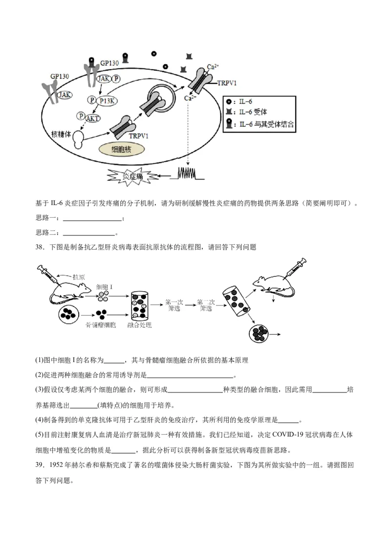 专题20DNA是主要的遗传物质（原卷版)_2024年新高考资料_3.2024专项复习_备战2024年高考生物一轮复习重难点专项突破_专题20DNA是主要的遗传物质