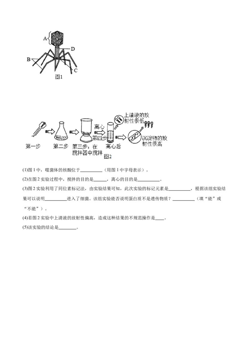 专题20DNA是主要的遗传物质（原卷版)_2024年新高考资料_3.2024专项复习_备战2024年高考生物一轮复习重难点专项突破_专题20DNA是主要的遗传物质