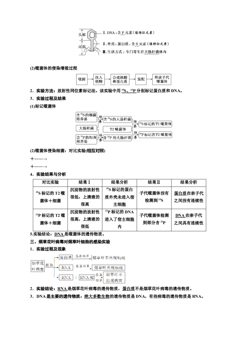 专题20DNA是主要的遗传物质（原卷版)_2024年新高考资料_3.2024专项复习_备战2024年高考生物一轮复习重难点专项突破_专题20DNA是主要的遗传物质
