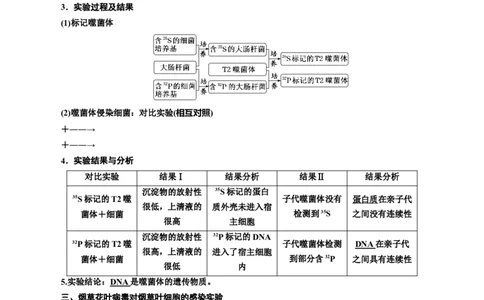 专题20DNA是主要的遗传物质（原卷版)_2024年新高考资料_3.2024专项复习_备战2024年高考生物一轮复习重难点专项突破_专题20DNA是主要的遗传物质
