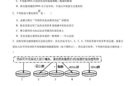 专题20DNA是主要的遗传物质（原卷版)_2024年新高考资料_3.2024专项复习_备战2024年高考生物一轮复习重难点专项突破_专题20DNA是主要的遗传物质
