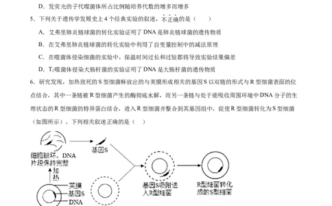 专题20DNA是主要的遗传物质（原卷版)_2024年新高考资料_3.2024专项复习_备战2024年高考生物一轮复习重难点专项突破_专题20DNA是主要的遗传物质