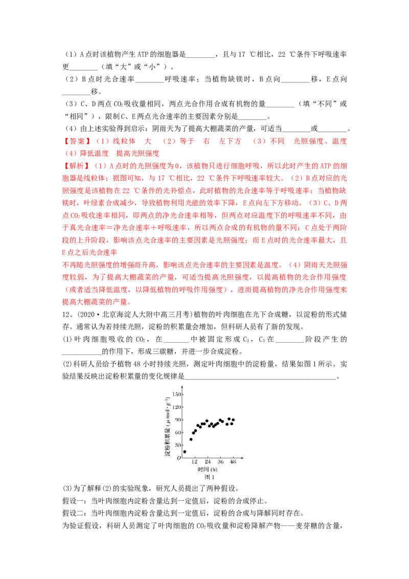 专题09光合作用（精练）（解析版）_2024年新高考资料_1.2024一轮复习_备战2024年高考生物一轮复习串讲精练（新高考专用）