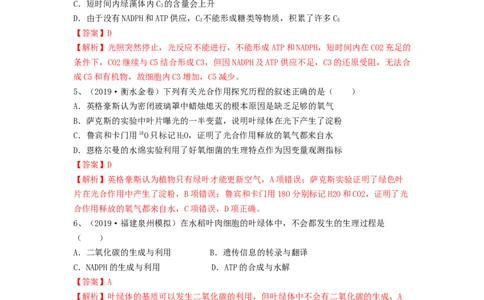 专题09光合作用（精练）（解析版）_2024年新高考资料_1.2024一轮复习_备战2024年高考生物一轮复习串讲精练（新高考专用）