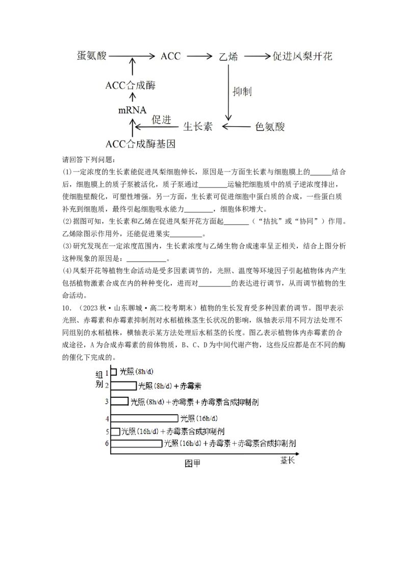 专题18植物生命活动调节（原卷版）_2024年新高考资料_1.2024一轮复习_备战2024年高考生物一轮复习抢分特训（全国通用）