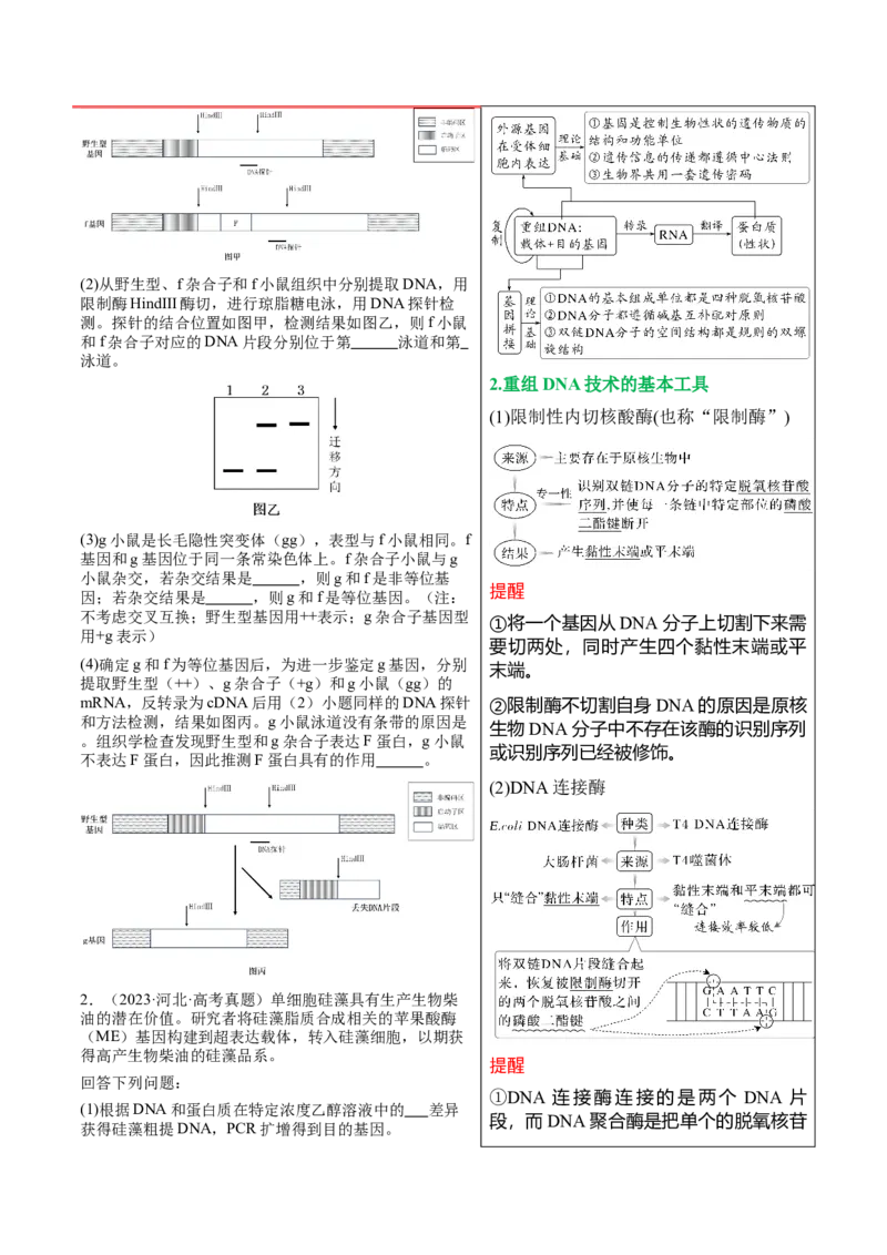 押新高考卷生物技术与工程（解析版）-备战2024年高考生物临考题号押题（新高考通用）_2024年新高考资料_5.2024三轮冲刺_备战2024年高考生物临考题号押题（新高考通用）322745222_668