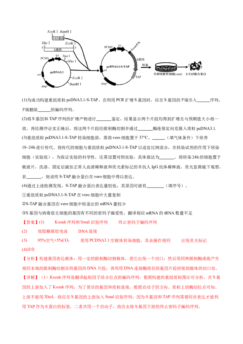 押新高考卷生物技术与工程（解析版）-备战2024年高考生物临考题号押题（新高考通用）_2024年新高考资料_5.2024三轮冲刺_备战2024年高考生物临考题号押题（新高考通用）322745222_668