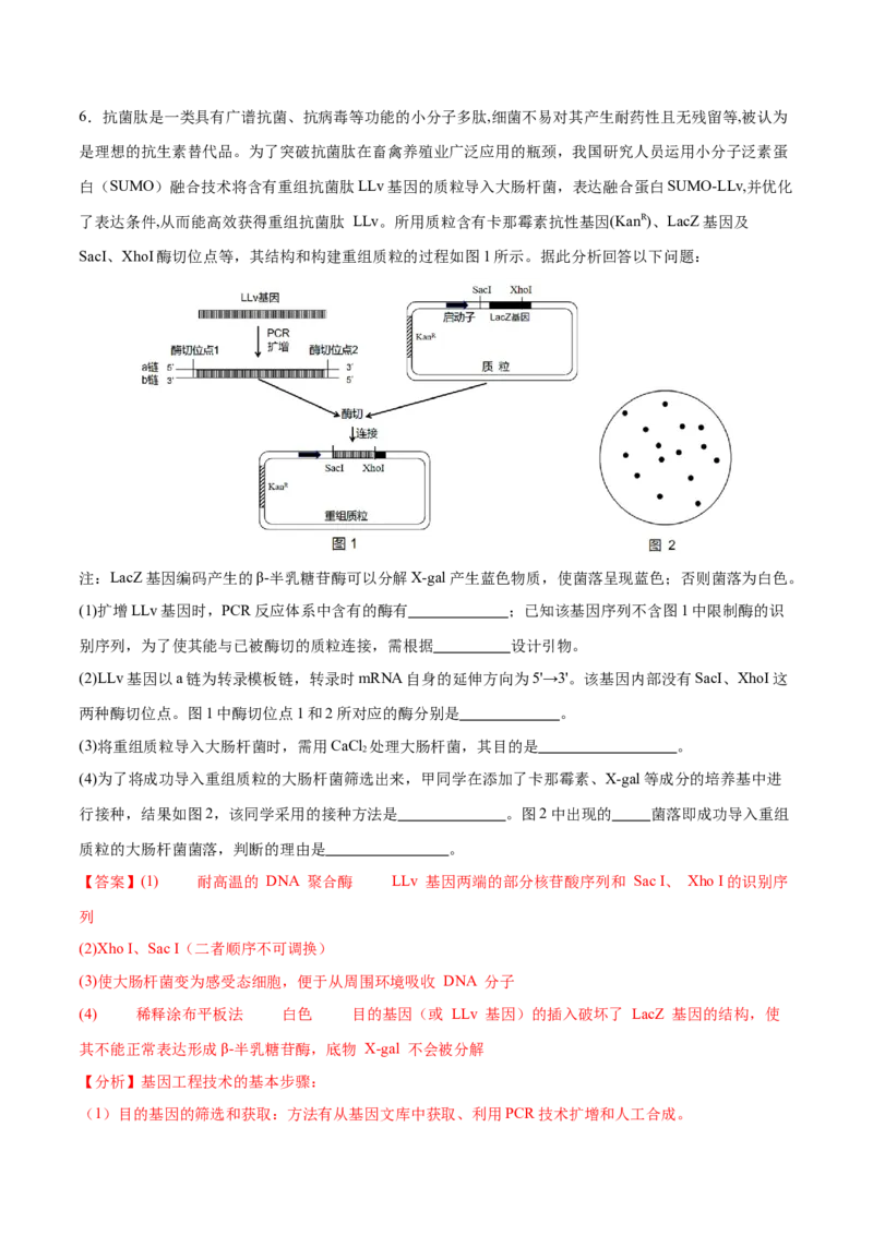 押新高考卷生物技术与工程（解析版）-备战2024年高考生物临考题号押题（新高考通用）_2024年新高考资料_5.2024三轮冲刺_备战2024年高考生物临考题号押题（新高考通用）322745222_668
