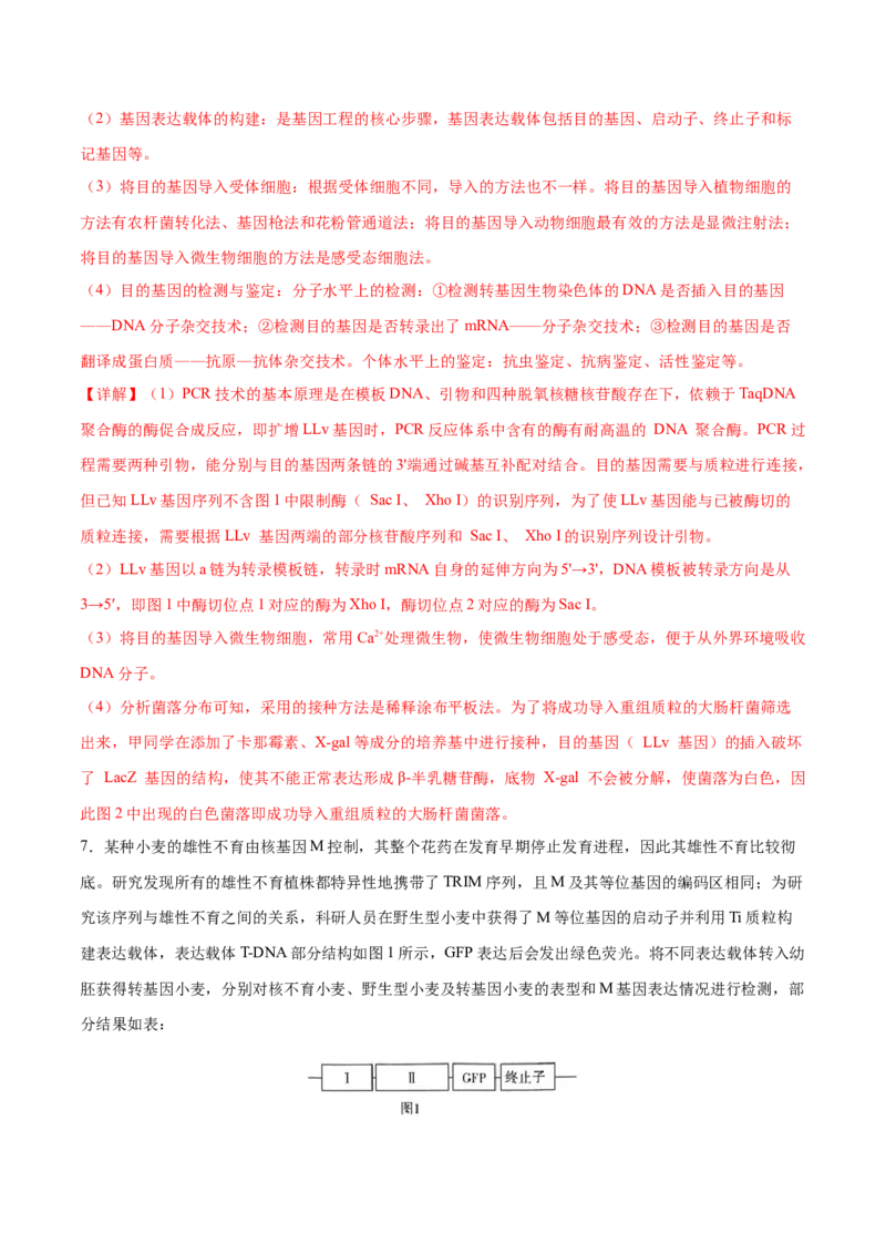 押新高考卷生物技术与工程（解析版）-备战2024年高考生物临考题号押题（新高考通用）_2024年新高考资料_5.2024三轮冲刺_备战2024年高考生物临考题号押题（新高考通用）322745222_668