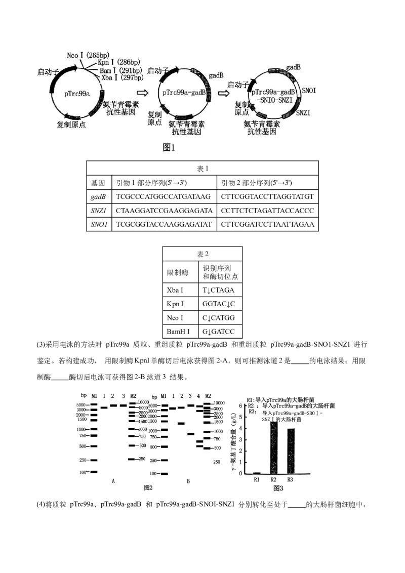 押新高考卷生物技术与工程（解析版）-备战2024年高考生物临考题号押题（新高考通用）_2024年新高考资料_5.2024三轮冲刺_备战2024年高考生物临考题号押题（新高考通用）322745222_668