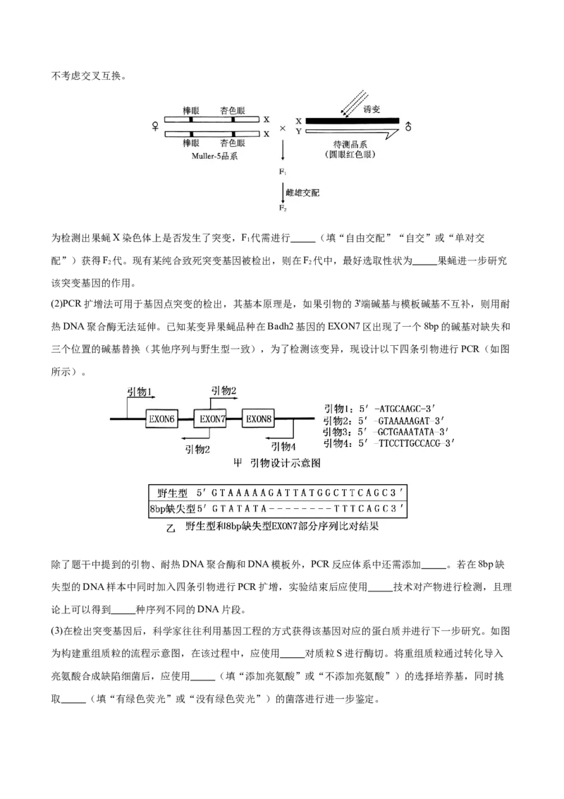 押新高考卷生物技术与工程（解析版）-备战2024年高考生物临考题号押题（新高考通用）_2024年新高考资料_5.2024三轮冲刺_备战2024年高考生物临考题号押题（新高考通用）322745222_668