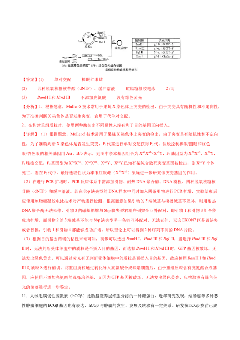 押新高考卷生物技术与工程（解析版）-备战2024年高考生物临考题号押题（新高考通用）_2024年新高考资料_5.2024三轮冲刺_备战2024年高考生物临考题号押题（新高考通用）322745222_668