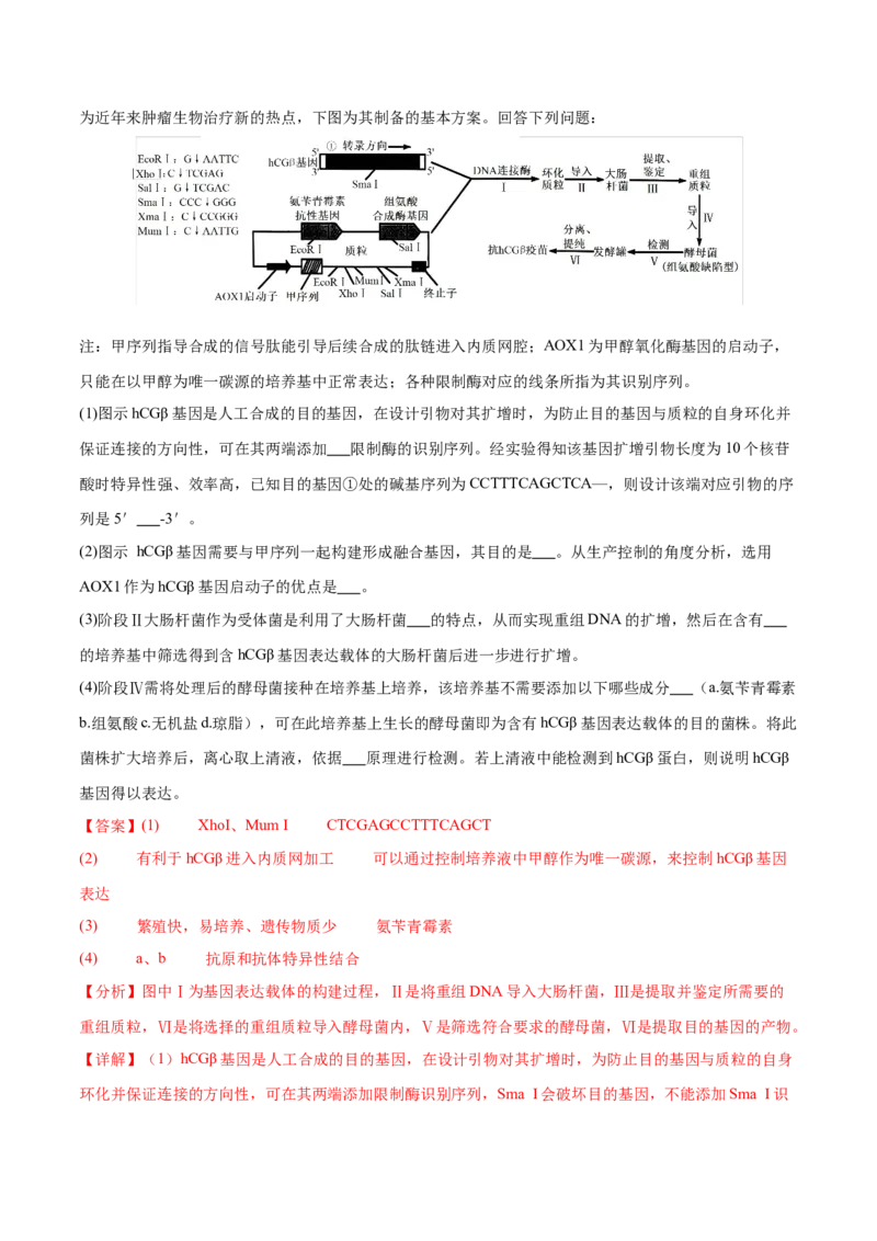 押新高考卷生物技术与工程（解析版）-备战2024年高考生物临考题号押题（新高考通用）_2024年新高考资料_5.2024三轮冲刺_备战2024年高考生物临考题号押题（新高考通用）322745222_668