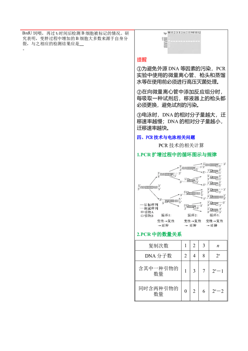 押新高考卷生物技术与工程（解析版）-备战2024年高考生物临考题号押题（新高考通用）_2024年新高考资料_5.2024三轮冲刺_备战2024年高考生物临考题号押题（新高考通用）322745222_668