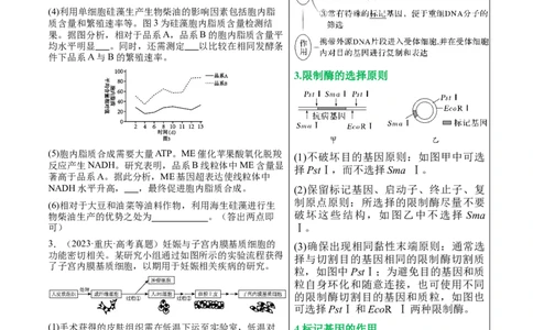 押新高考卷生物技术与工程（解析版）-备战2024年高考生物临考题号押题（新高考通用）_2024年新高考资料_5.2024三轮冲刺_备战2024年高考生物临考题号押题（新高考通用）322745222_668