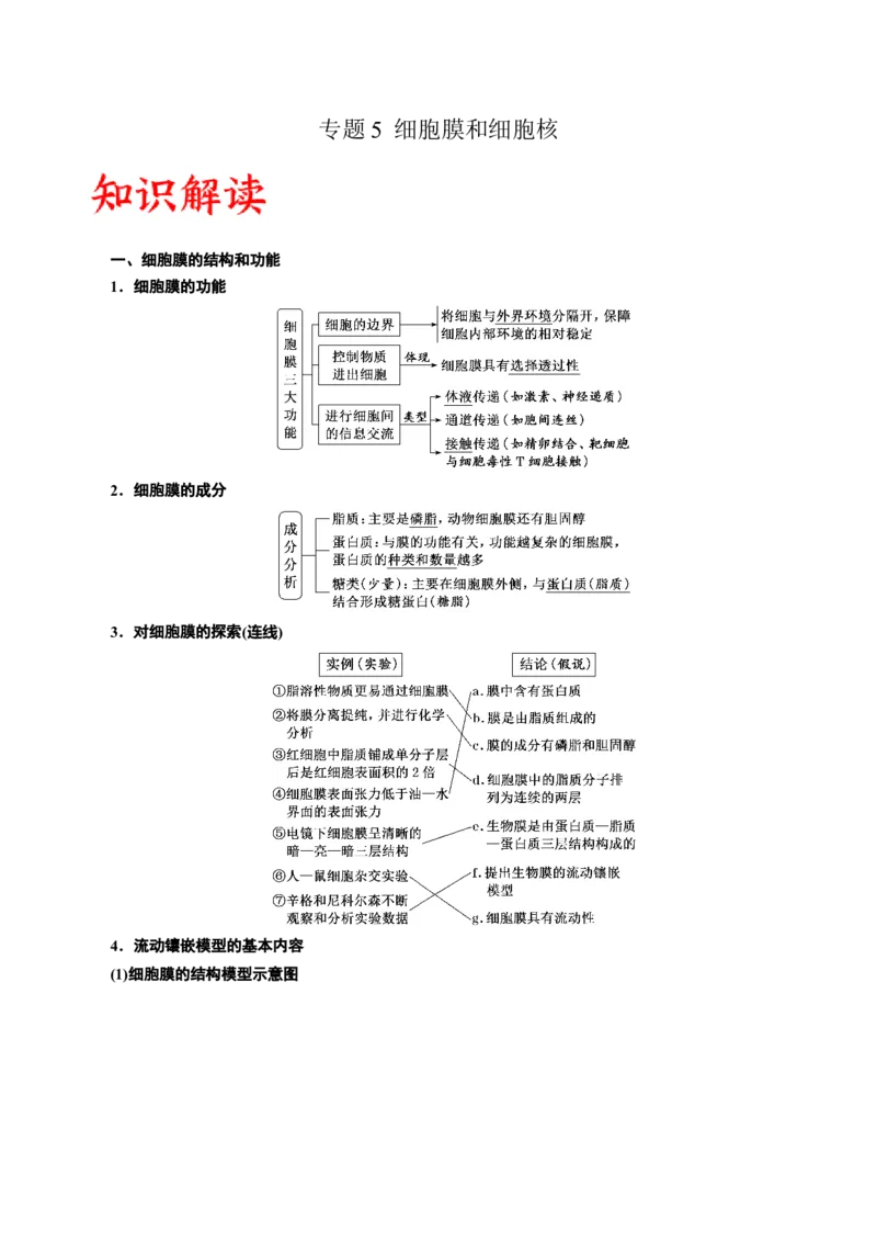 专题5细胞膜和细胞核（原卷版)_2024年新高考资料_3.2024专项复习_备战2024年高考生物一轮复习重难点专项突破_专题05细胞膜和细胞核-备战2024年高考生物一轮复习重难点专项突破