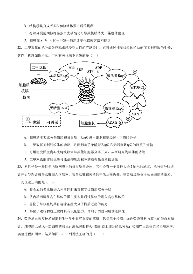 专题5细胞膜和细胞核（原卷版)_2024年新高考资料_3.2024专项复习_备战2024年高考生物一轮复习重难点专项突破_专题05细胞膜和细胞核-备战2024年高考生物一轮复习重难点专项突破