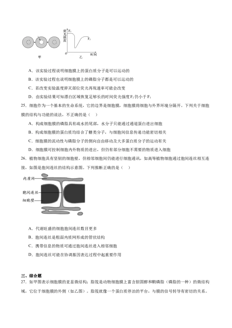 专题5细胞膜和细胞核（原卷版)_2024年新高考资料_3.2024专项复习_备战2024年高考生物一轮复习重难点专项突破_专题05细胞膜和细胞核-备战2024年高考生物一轮复习重难点专项突破