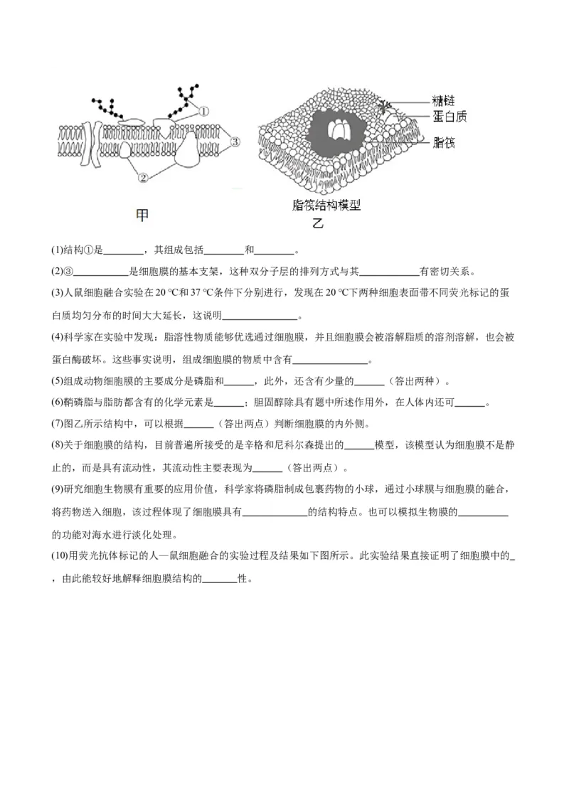 专题5细胞膜和细胞核（原卷版)_2024年新高考资料_3.2024专项复习_备战2024年高考生物一轮复习重难点专项突破_专题05细胞膜和细胞核-备战2024年高考生物一轮复习重难点专项突破