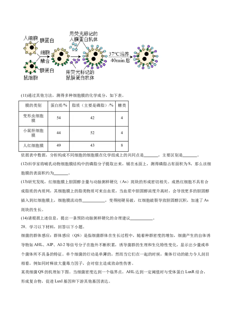 专题5细胞膜和细胞核（原卷版)_2024年新高考资料_3.2024专项复习_备战2024年高考生物一轮复习重难点专项突破_专题05细胞膜和细胞核-备战2024年高考生物一轮复习重难点专项突破
